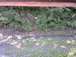 長野県菅平高原 ゆたか山荘 南側 2025/08/30 10:00