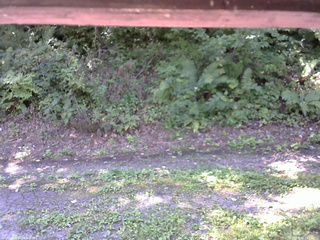 長野県菅平高原 ゆたか山荘 南側 2025/08/30 10:15