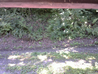 長野県菅平高原 ゆたか山荘 南側 2025/08/30 10:30