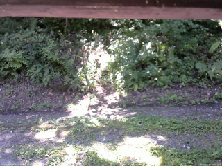 長野県菅平高原 ゆたか山荘 南側 2025/08/30 10:45