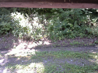 長野県菅平高原 ゆたか山荘 南側 2025/08/30 11:00