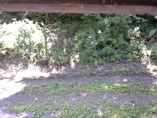 長野県菅平高原 ゆたか山荘 南側 2025/08/30 11:15