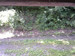 長野県菅平高原 ゆたか山荘 南側 2025/08/30 11:30