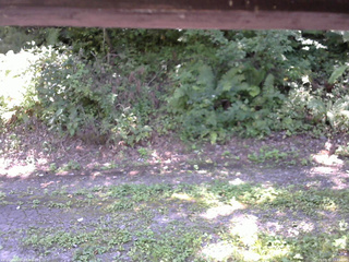 長野県菅平高原 ゆたか山荘 南側 2025/08/30 11:45