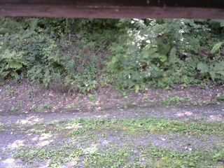 長野県菅平高原 ゆたか山荘 南側 2025/08/30 12:15