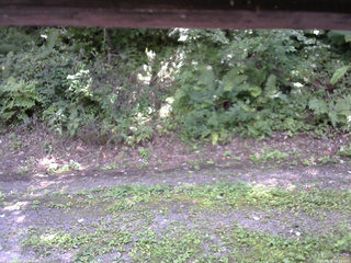 長野県菅平高原 ゆたか山荘 南側 2025/08/30 12:30