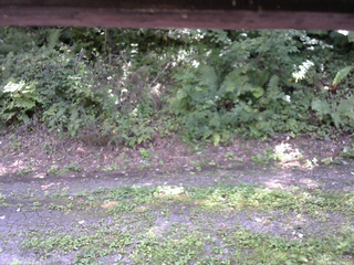 長野県菅平高原 ゆたか山荘 南側 2025/08/30 12:45