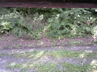 長野県菅平高原 ゆたか山荘 南側 2025/08/30 13:00