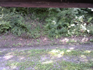 長野県菅平高原 ゆたか山荘 南側 2025/08/30 13:15