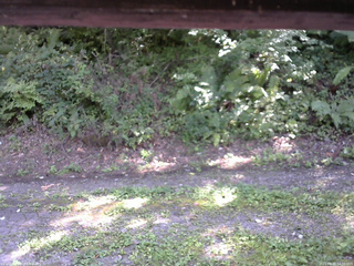 長野県菅平高原 ゆたか山荘 南側 2025/08/30 13:30