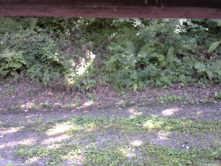 長野県菅平高原 ゆたか山荘 南側 2025/08/30 13:45