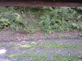 長野県菅平高原 ゆたか山荘 南側 2025/08/30 14:00