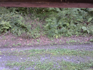 長野県菅平高原 ゆたか山荘 南側 2025/08/30 14:15