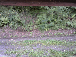 長野県菅平高原 ゆたか山荘 南側 2025/08/30 14:30