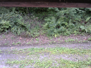 長野県菅平高原 ゆたか山荘 南側 2025/08/30 14:45