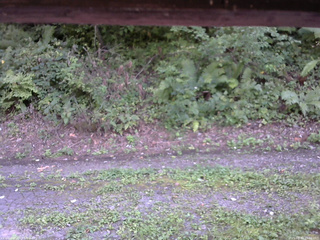 長野県菅平高原 ゆたか山荘 南側 2025/08/30 15:00