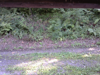 長野県菅平高原 ゆたか山荘 南側 2025/08/30 15:15