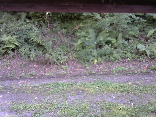 長野県菅平高原 ゆたか山荘 南側 2025/08/30 15:30