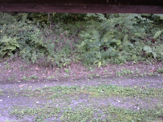 長野県菅平高原 ゆたか山荘 南側 2025/08/30 15:45