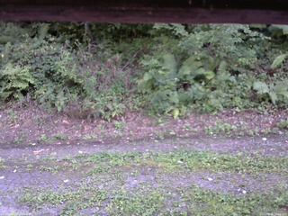 長野県菅平高原 ゆたか山荘 南側 2025/08/30 16:00