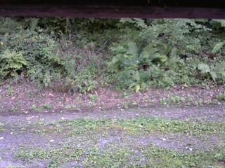 長野県菅平高原 ゆたか山荘 南側 2025/08/30 16:15