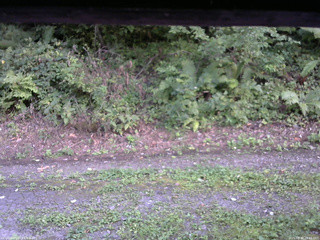 長野県菅平高原 ゆたか山荘 南側 2025/08/30 16:45