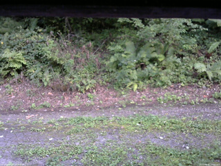 長野県菅平高原 ゆたか山荘 南側 2025/08/30 17:00