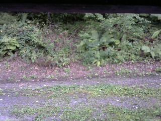 長野県菅平高原 ゆたか山荘 南側 2025/08/30 17:15