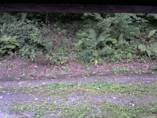 長野県菅平高原 ゆたか山荘 南側 2025/08/30 18:00