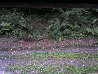 長野県菅平高原 ゆたか山荘 南側 2025/08/30 18:15