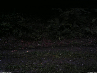 長野県菅平高原 ゆたか山荘 南側 2025/08/30 18:30