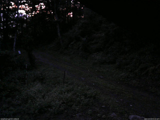 長野県菅平高原 ゆたか山荘 東側(坂下) 2025/08/30 05:00