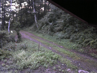 長野県菅平高原 ゆたか山荘 東側(坂下) 2025/08/30 05:15