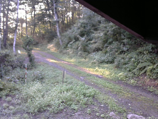 長野県菅平高原 ゆたか山荘 東側(坂下) 2025/08/30 06:00