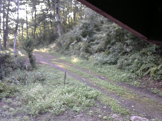 長野県菅平高原 ゆたか山荘 東側(坂下) 2025/08/30 06:15