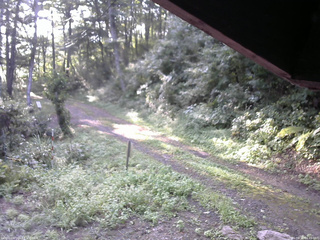 長野県菅平高原 ゆたか山荘 東側(坂下) 2025/08/30 06:45