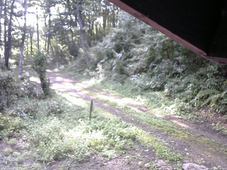 長野県菅平高原 ゆたか山荘 東側(坂下) 2025/08/30 07:00