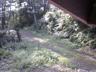 長野県菅平高原 ゆたか山荘 東側(坂下) 2025/08/30 07:45