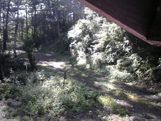 長野県菅平高原 ゆたか山荘 東側(坂下) 2025/08/30 08:00