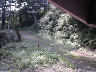 長野県菅平高原 ゆたか山荘 東側(坂下) 2025/08/30 08:15