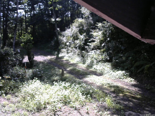 長野県菅平高原 ゆたか山荘 東側(坂下) 2025/08/30 08:30