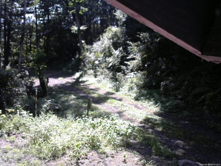 長野県菅平高原 ゆたか山荘 東側(坂下) 2025/08/30 08:45