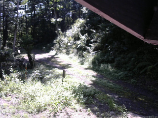長野県菅平高原 ゆたか山荘 東側(坂下) 2025/08/30 09:00