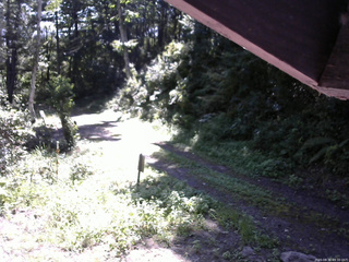 長野県菅平高原 ゆたか山荘 東側(坂下) 2025/08/30 09:30