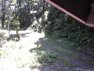 長野県菅平高原 ゆたか山荘 東側(坂下) 2025/08/30 09:45