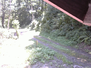 長野県菅平高原 ゆたか山荘 東側(坂下) 2025/08/30 10:00