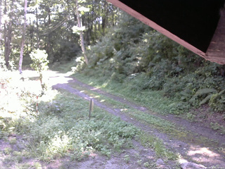 長野県菅平高原 ゆたか山荘 東側(坂下) 2025/08/30 11:00