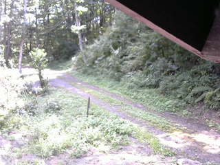 長野県菅平高原 ゆたか山荘 東側(坂下) 2025/08/30 11:30