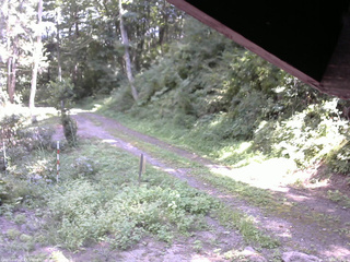 長野県菅平高原 ゆたか山荘 東側(坂下) 2025/08/30 12:30