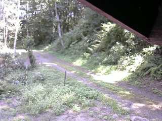 長野県菅平高原 ゆたか山荘 東側(坂下) 2025/08/30 12:45